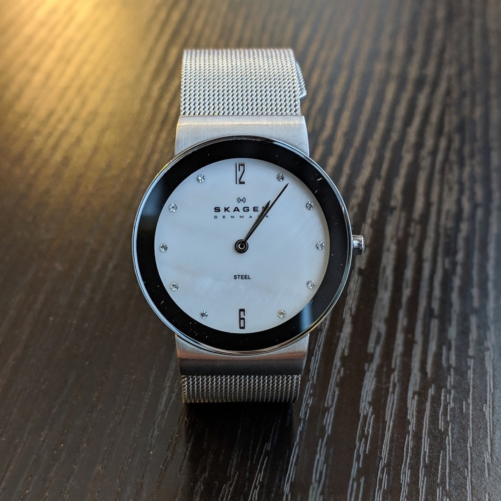 Skagen Stainless Steel Watch